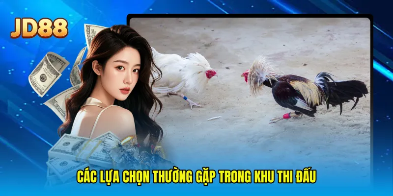 Các lựa chọn thường gặp trong khu thi đấu
